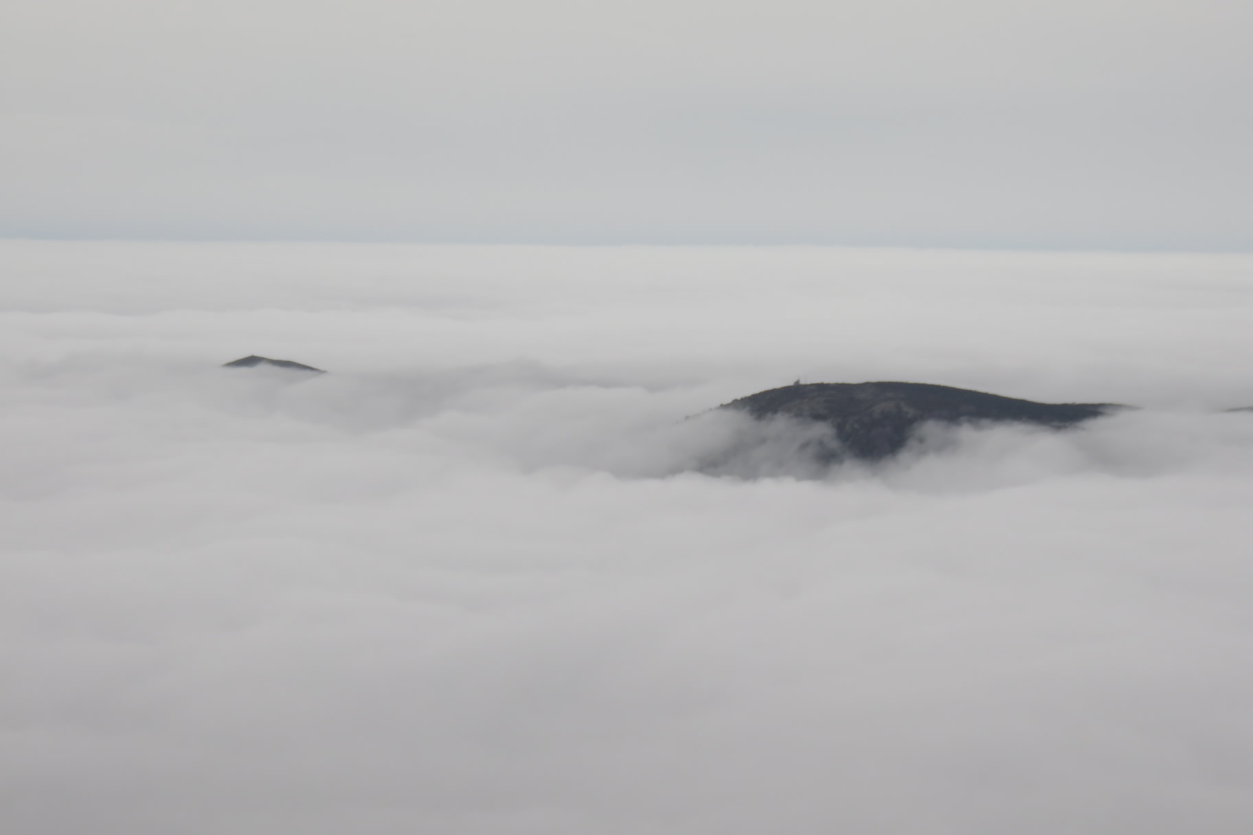 Entre la niebla sobresalen el Suï a la izquierda y el Puig Drau a la derecha
